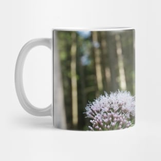 Fly On Water Vapor In The Forest Mug